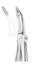  Fig. 44 upper roots 